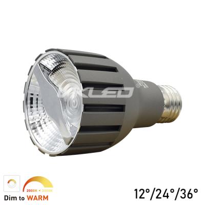 Leading Edge LED Reflector PAR20 3000K 5W VDE Luminous - copy