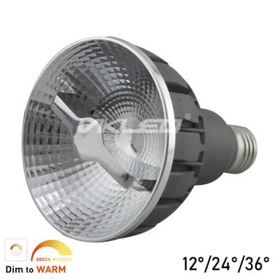 Leading Edge LED Reflector PAR30 Dimmable 12W 24 degree Lumileds